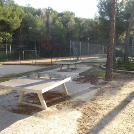 Alisier 1 Six-Fours-les-Plages