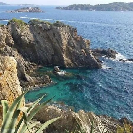Alisier 1 * Six-Fours-les-Plages